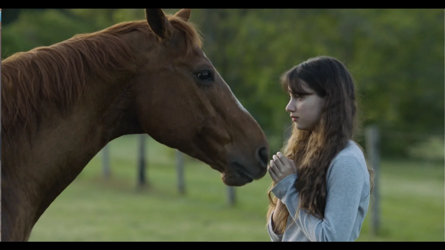 To God's Ear, a Film Shot on the North Fork, Screens at the Avram in Southampton October 24