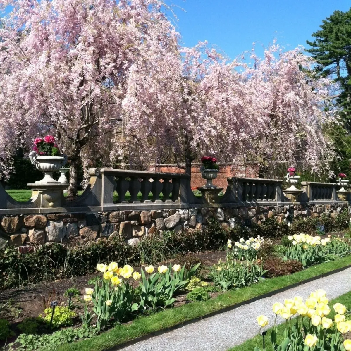   -Photo Credit:    Old Westbury Gardens   