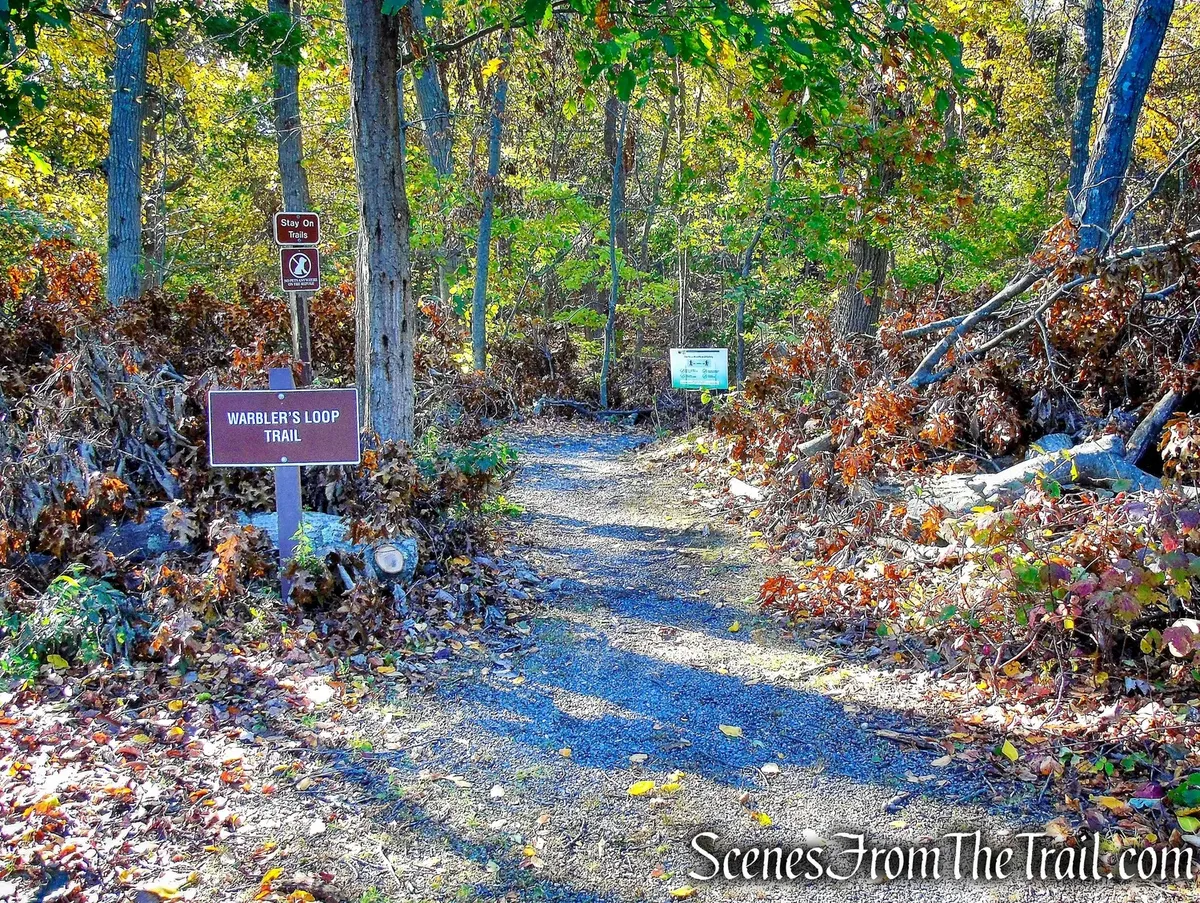   -Photo Credit:    Scenes From The Trail   