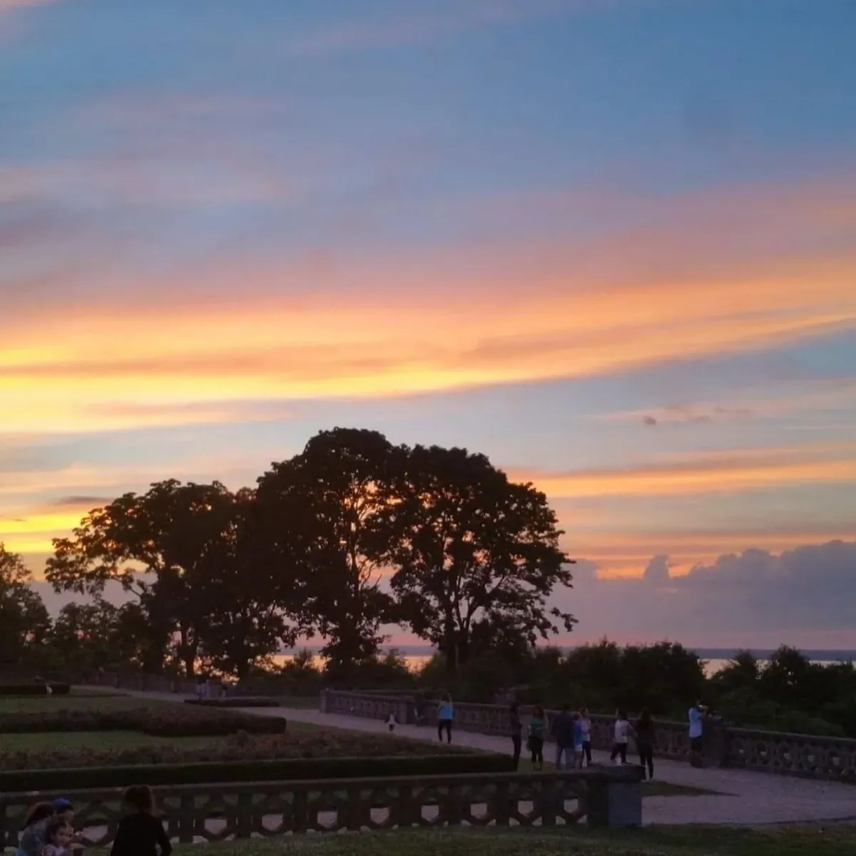   -Photo Credit:    Sands Point Preserve      