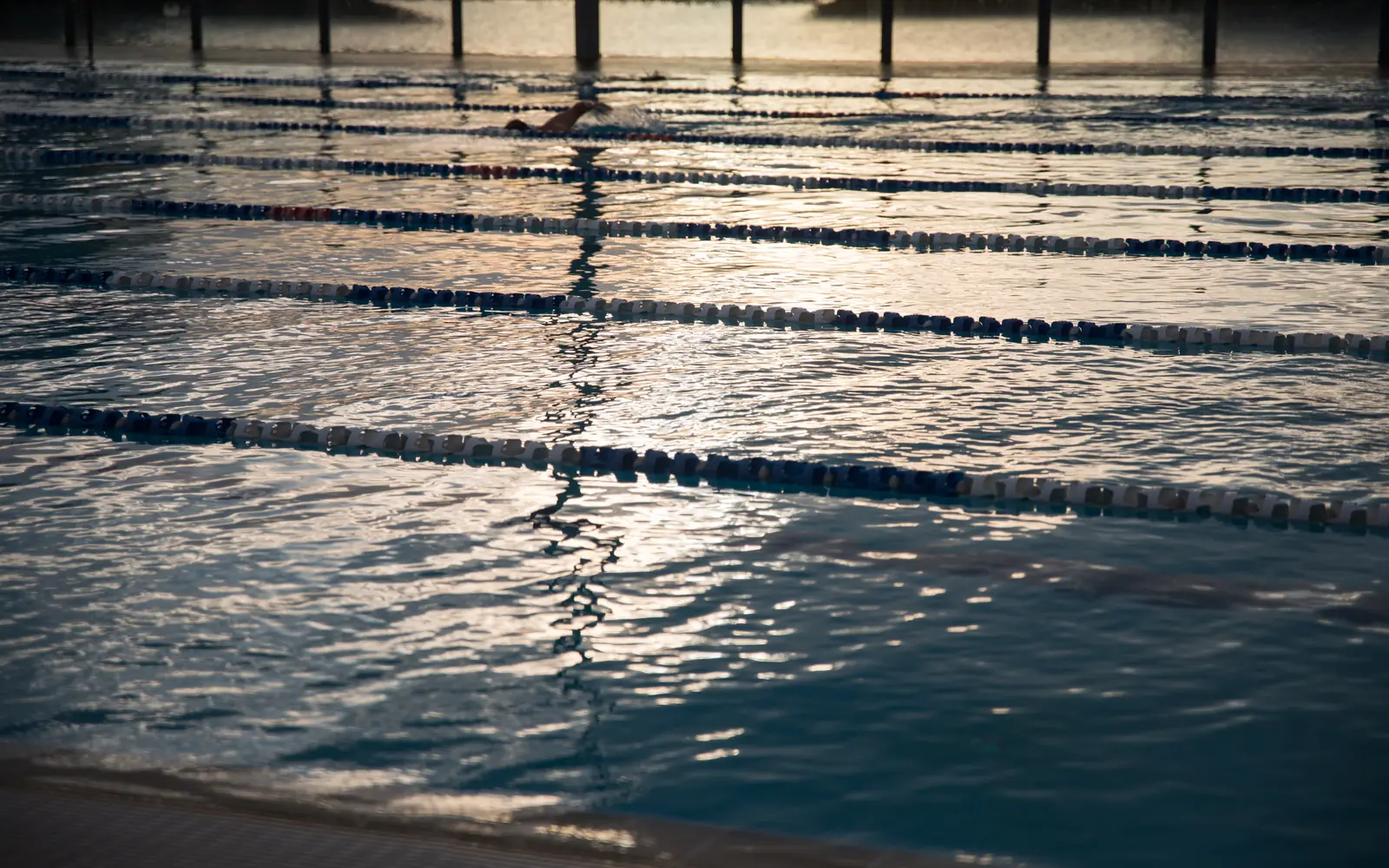Jones Beach's Grandest Building Sat Empty for 17 Years. It Just Reopened With a Pool.