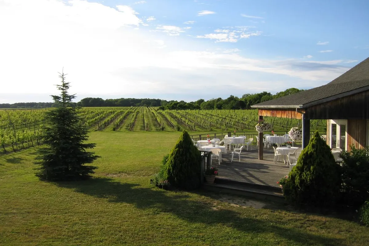 -Photo Credit: Paumanok Vineyards