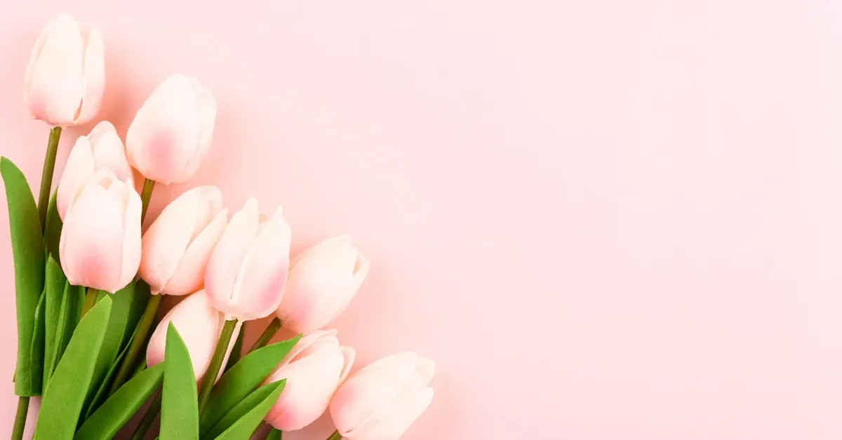 Long Island's Mother's Day Escapades: A Guide to Memorable Celebrations