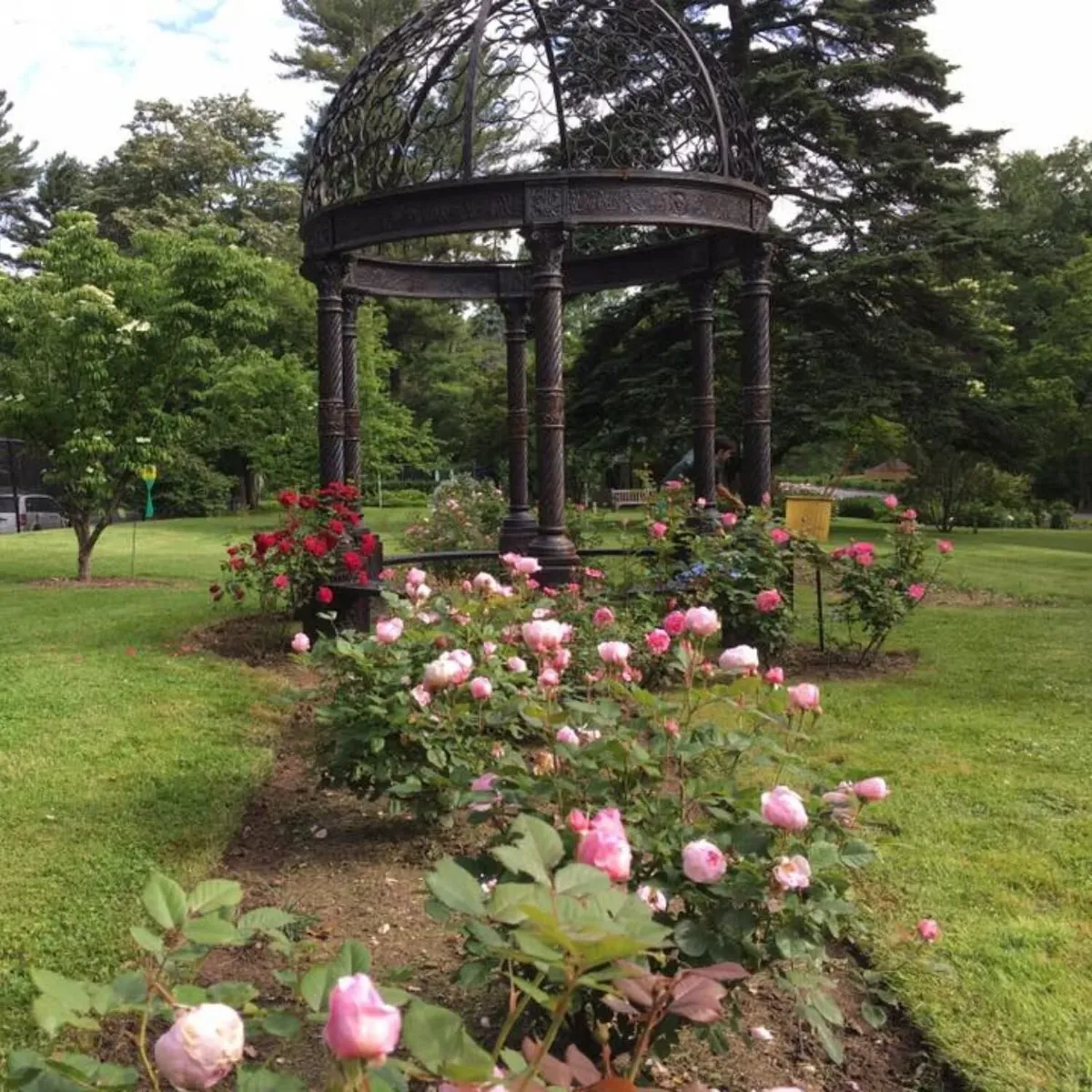   -Photo Credit:    Bailey Arboretum   