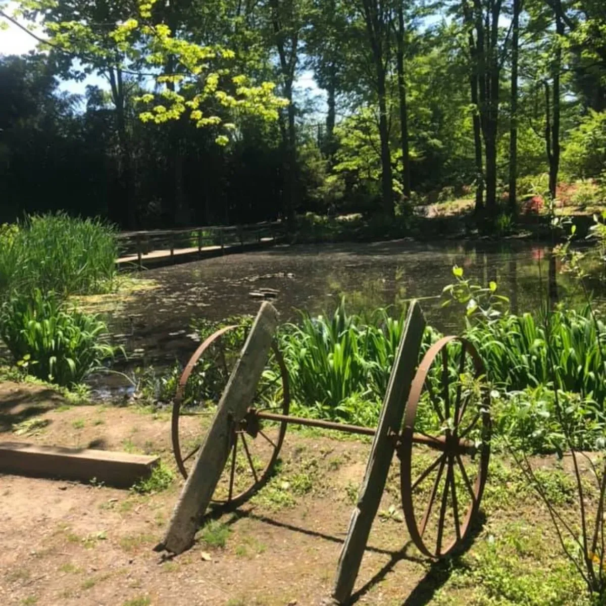   -Photo Credit:    Clark Botanic Gardens   