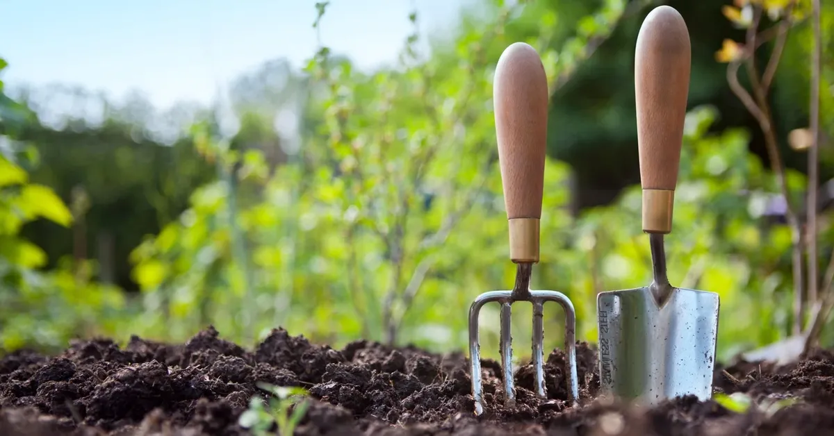 A Guide to Eco-Friendly Living on Long Island: Tips and Tricks