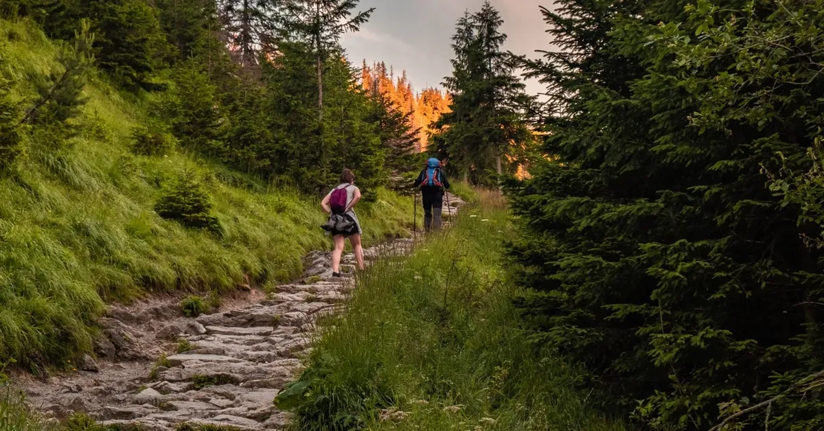 The Top 10 Hiking Trails on Long Island: A Guide for Nature Lovers