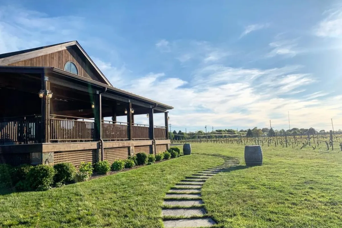 -Photo Credit: Macari Vineyards