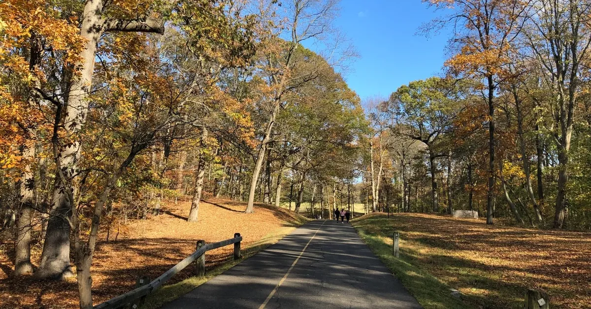 Unearthing Serenity: A Journey through Caumsett State Park