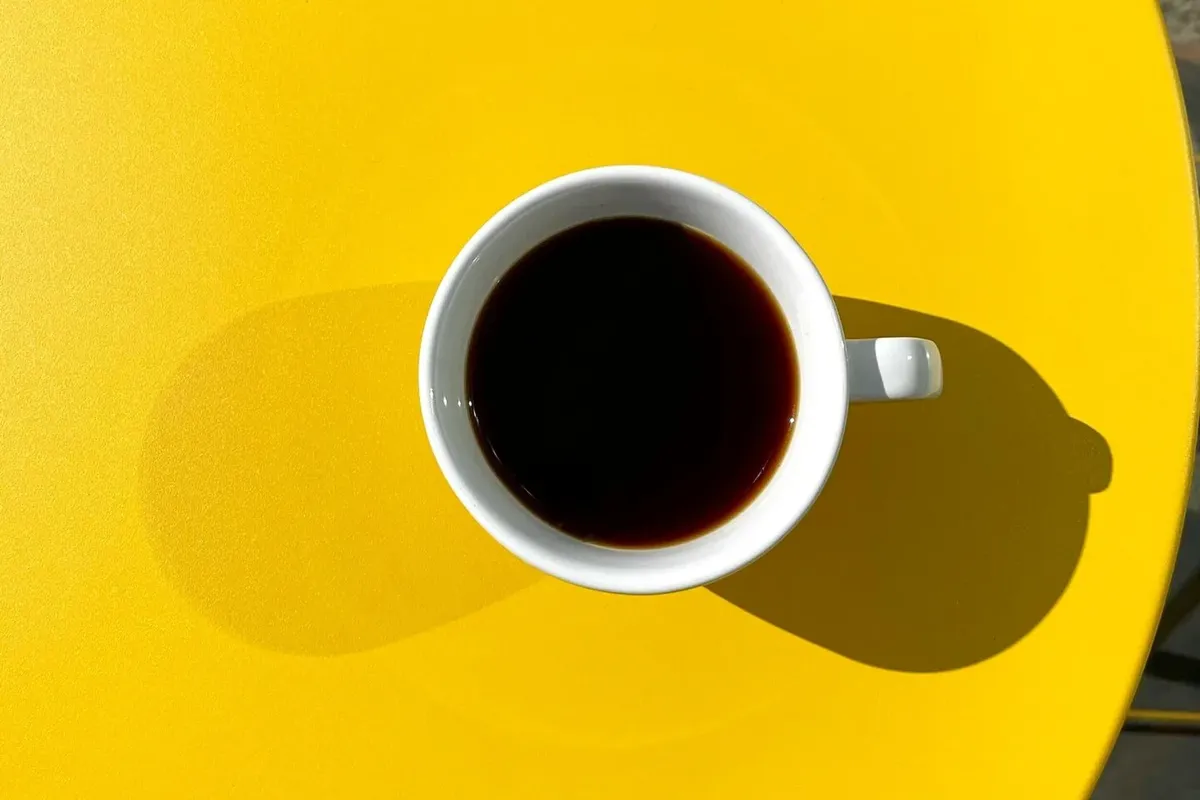 Some of the Best Coffee Shops on the North Shore of Long Island