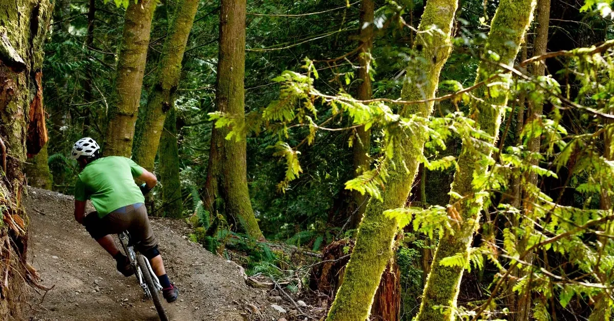 Top Biking Trails on Long Island: Explore the Island's Scenic Beauty