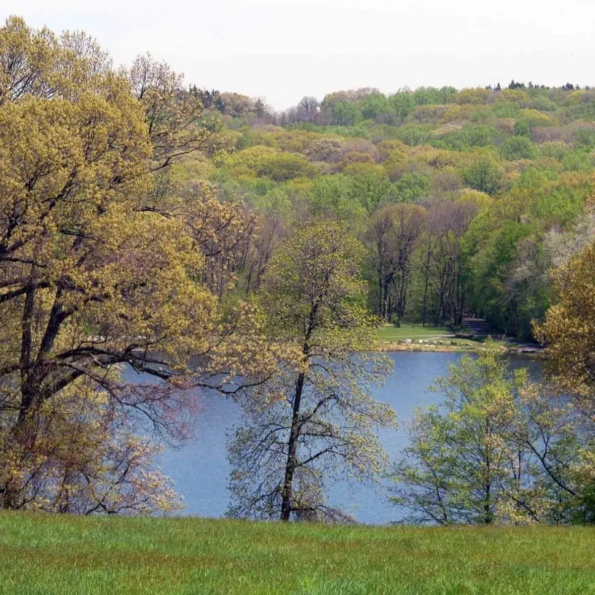   -Photo Credit:    Trail View State Park   