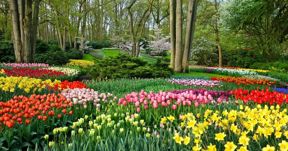 Long Island's Botanical Wonders: A Captivating Journey through Enchanting Gardens and Arboretums