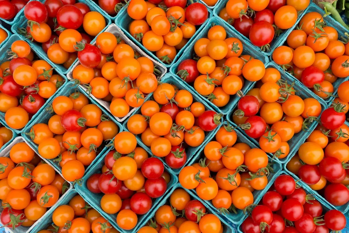 Farmers' Markets to Visit this Summer 🌽